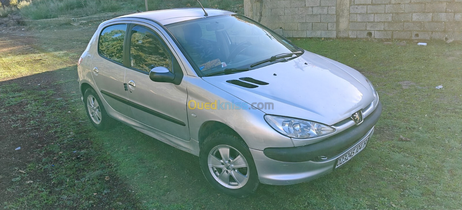 Peugeot 206 2004 206