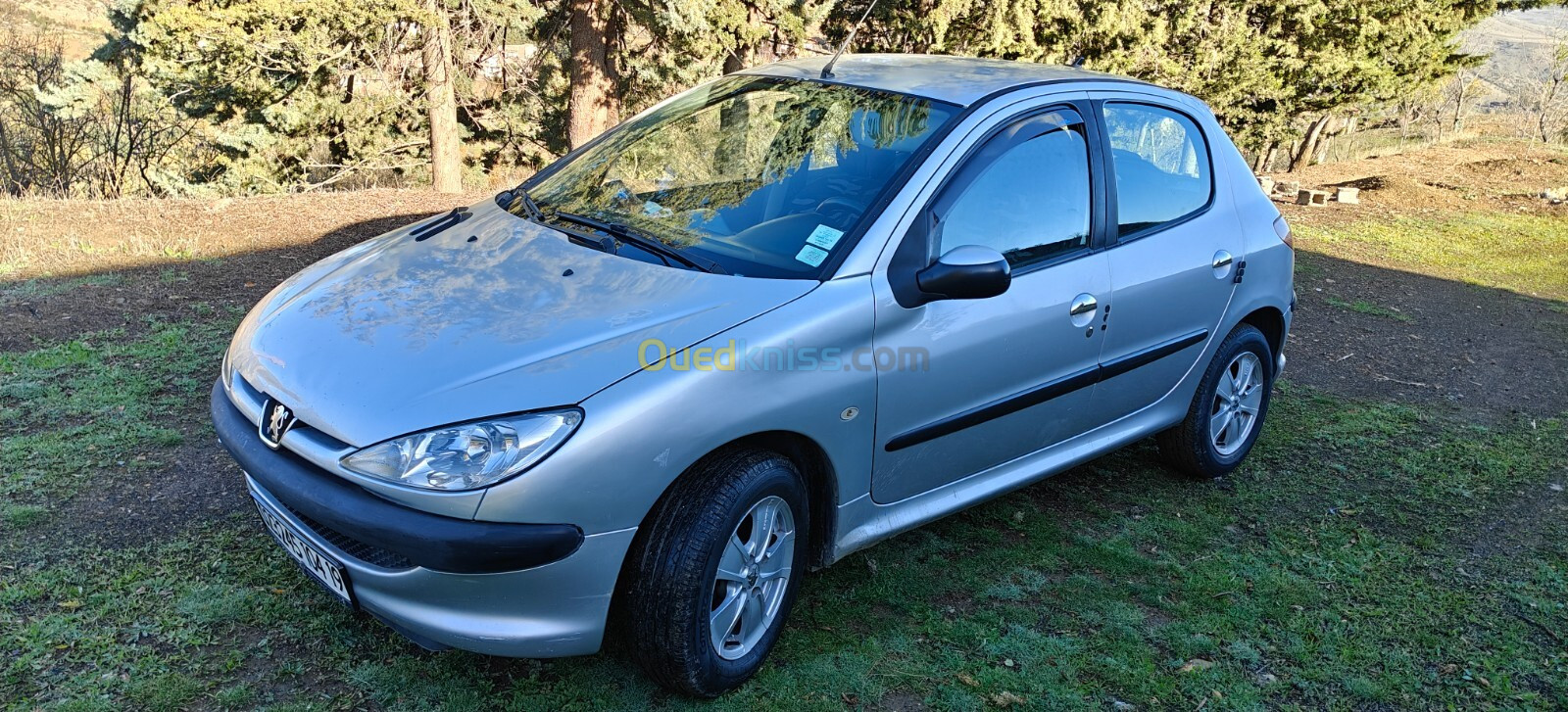 Peugeot 206 2004 206