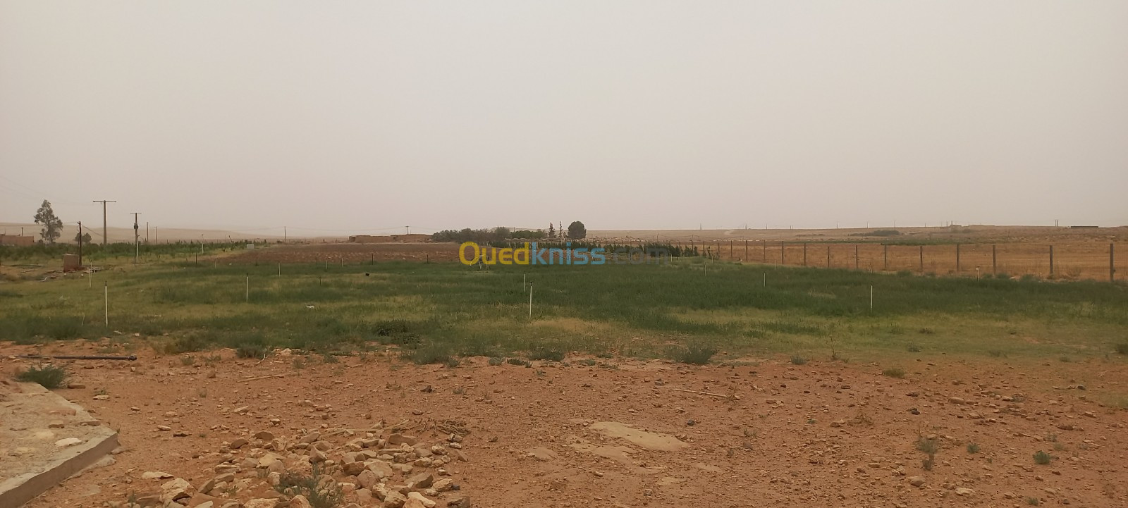 Vente Terrain Agricole Djelfa Djelfa