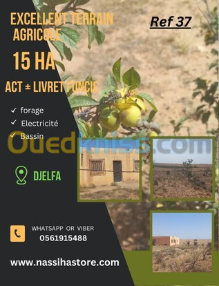 Vente Terrain Agricole Djelfa Djelfa