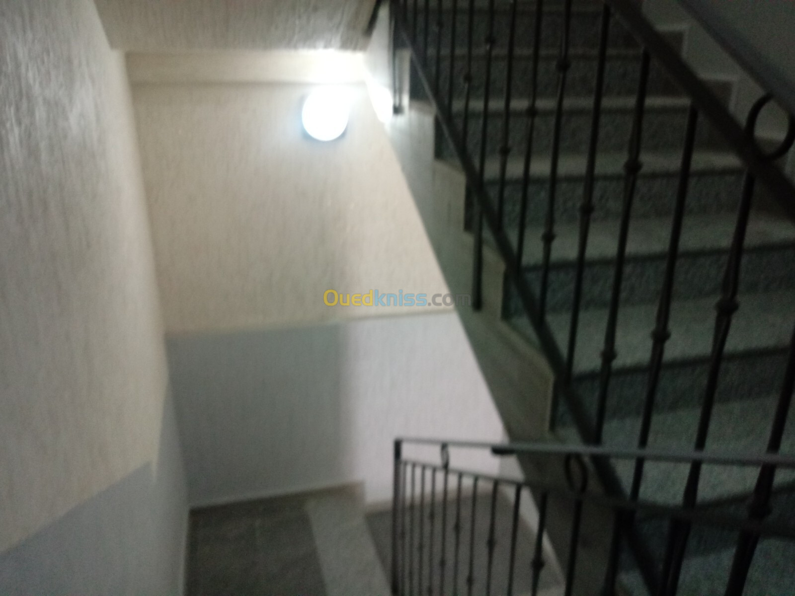 Location Appartement F3 Annaba Annaba