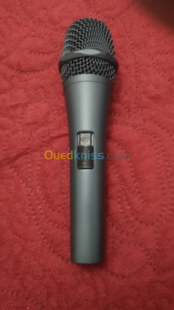 Microphone