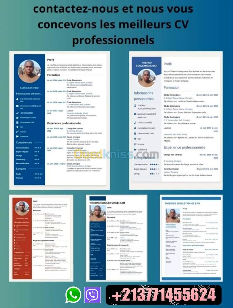 Création CV professionnelle