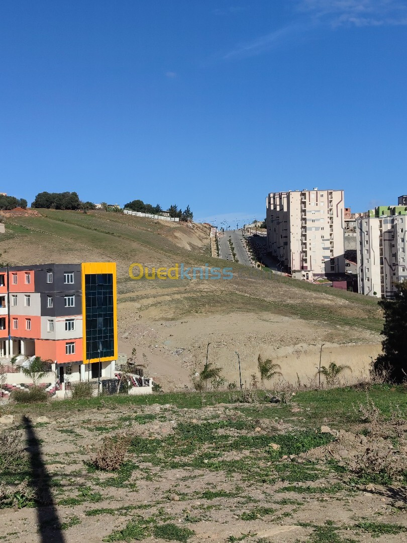 Vente Terrain Alger Zeralda