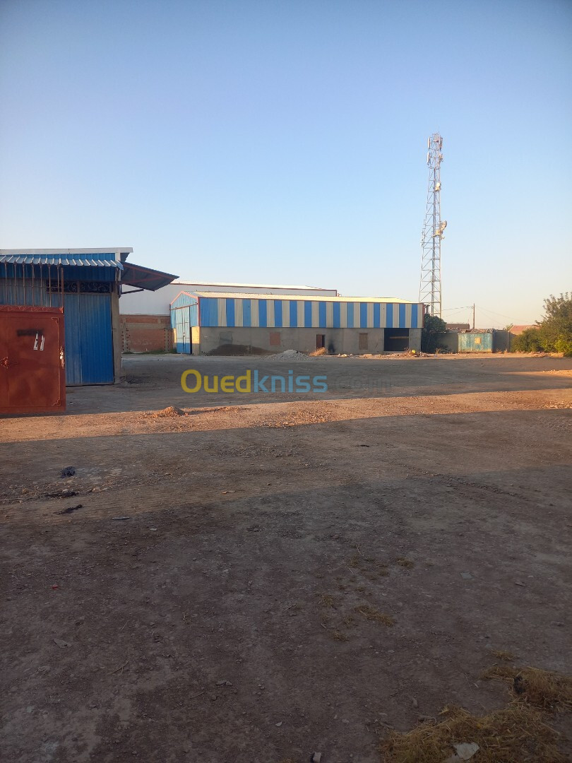 Location Hangar Sétif Ouled sabor