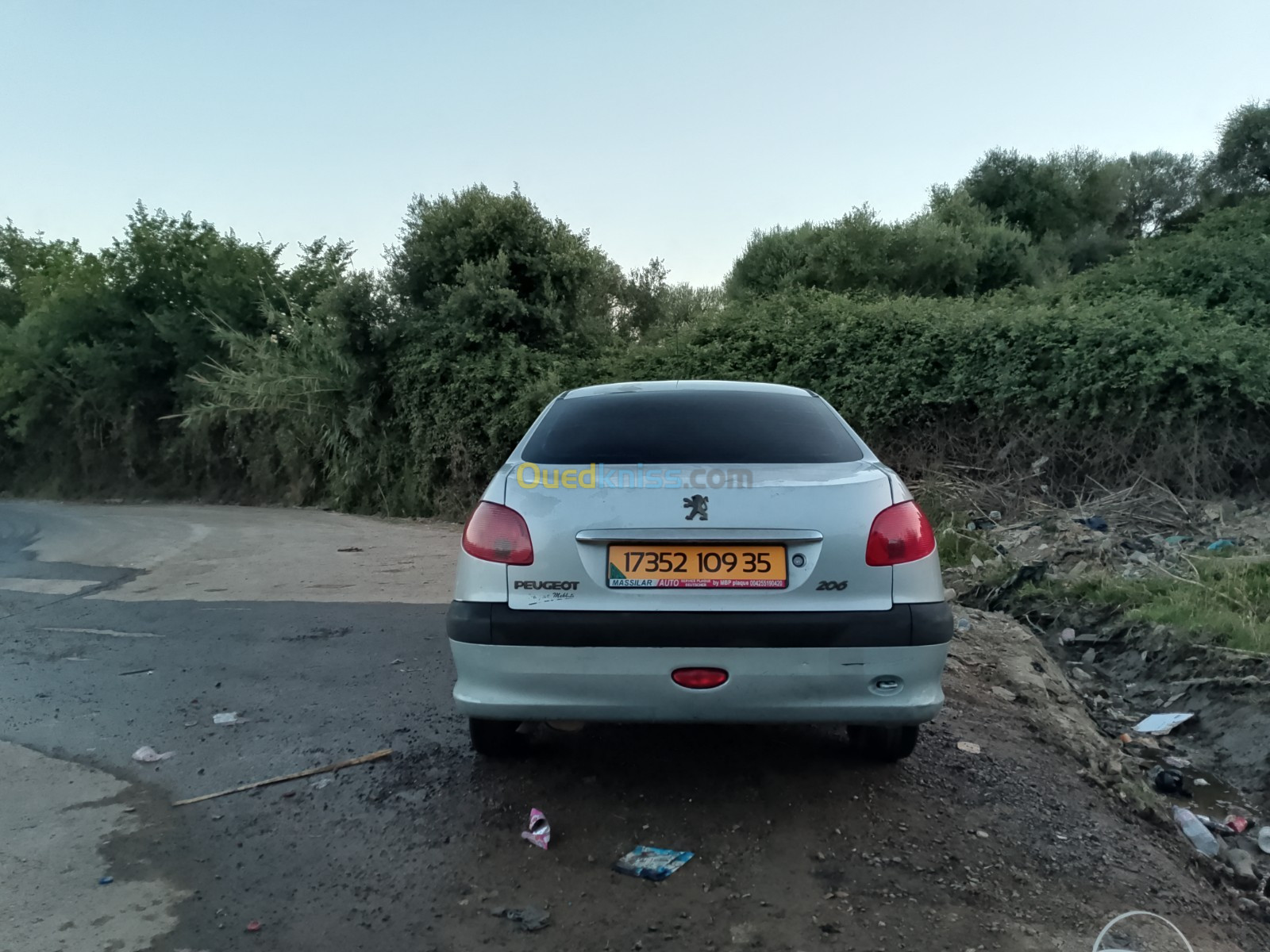 Peugeot 206 Sedan 2009 206 Sedan