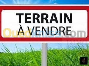 Vente Terrain Oran Oran