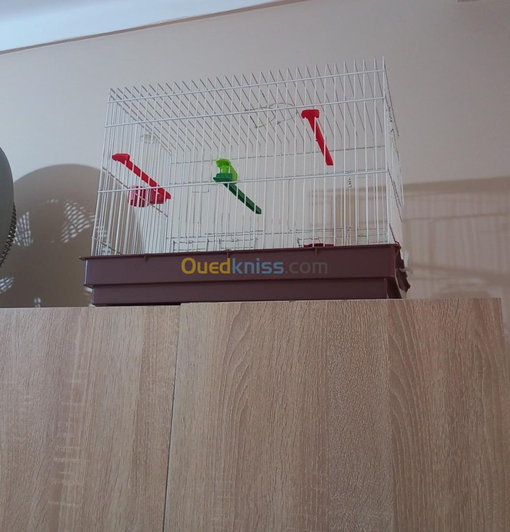 Cage à oiseaux