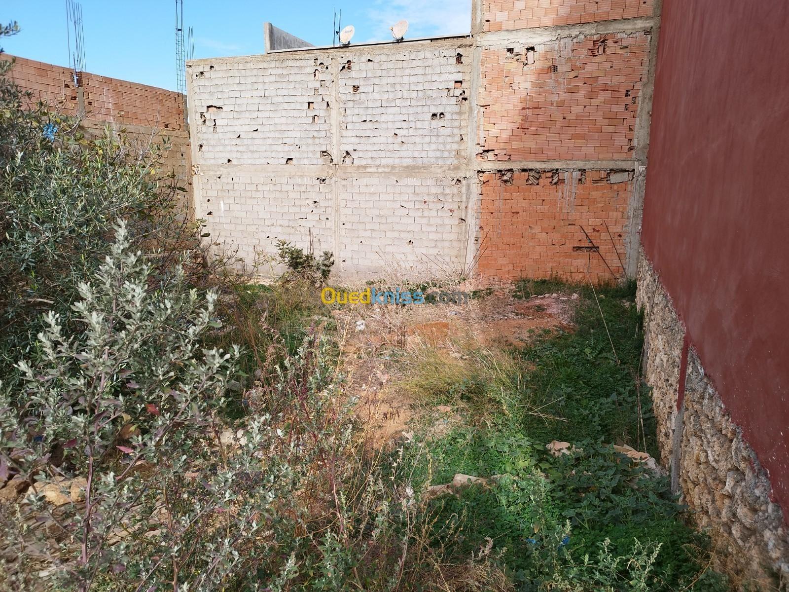 Vente Terrain Aïn Témouchent Sidi safi