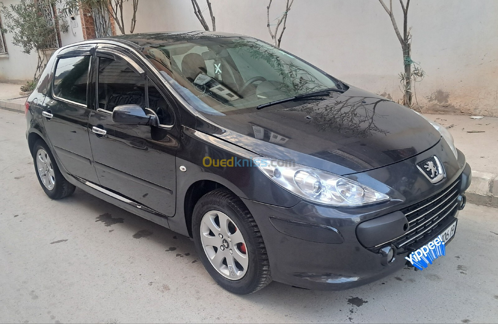 Peugeot 307 2006 Oxygo