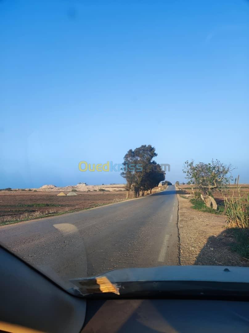 Vente Terrain Agricole Mostaganem Stidia