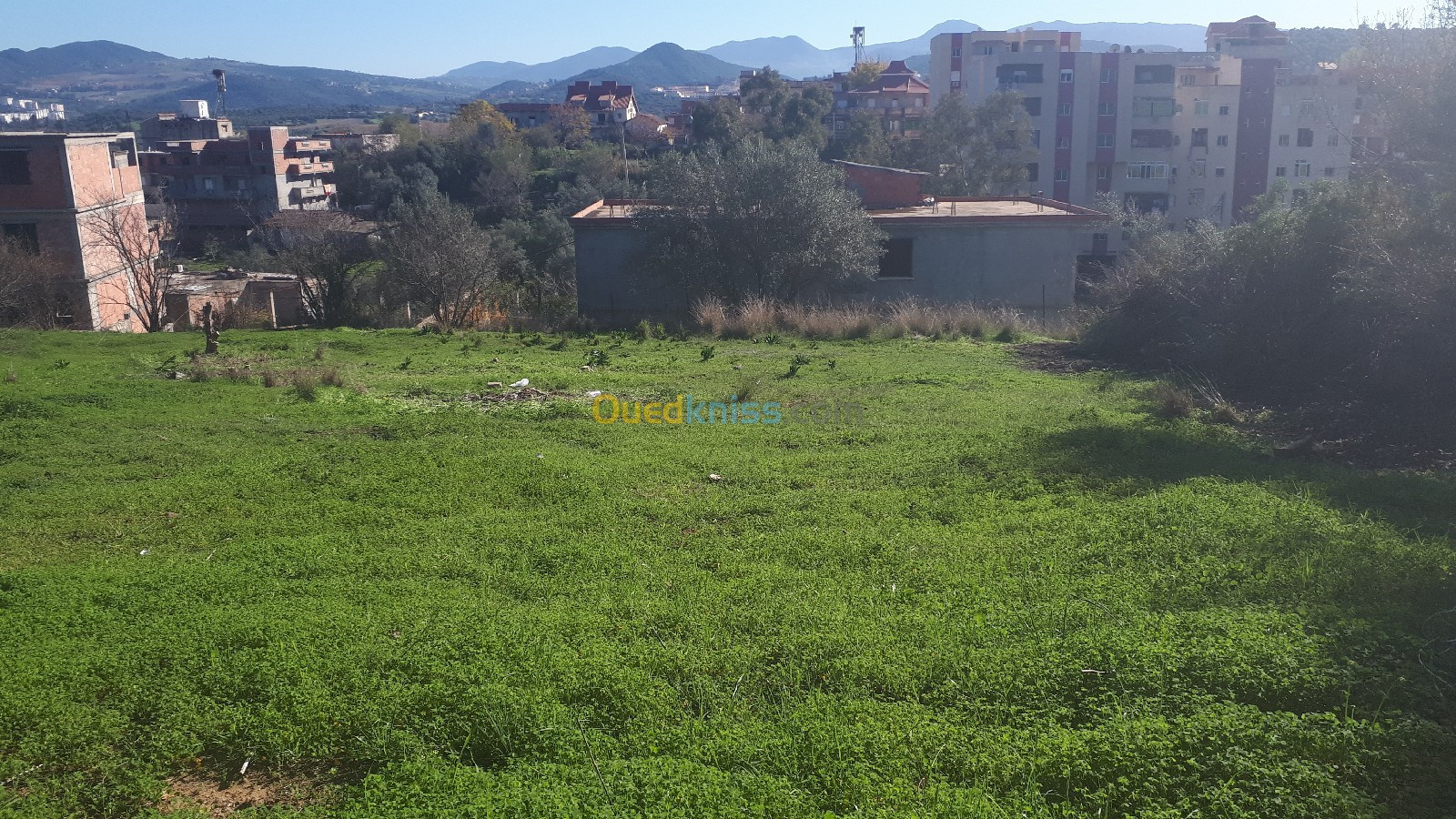 Vente Terrain Boumerdès Souk el had