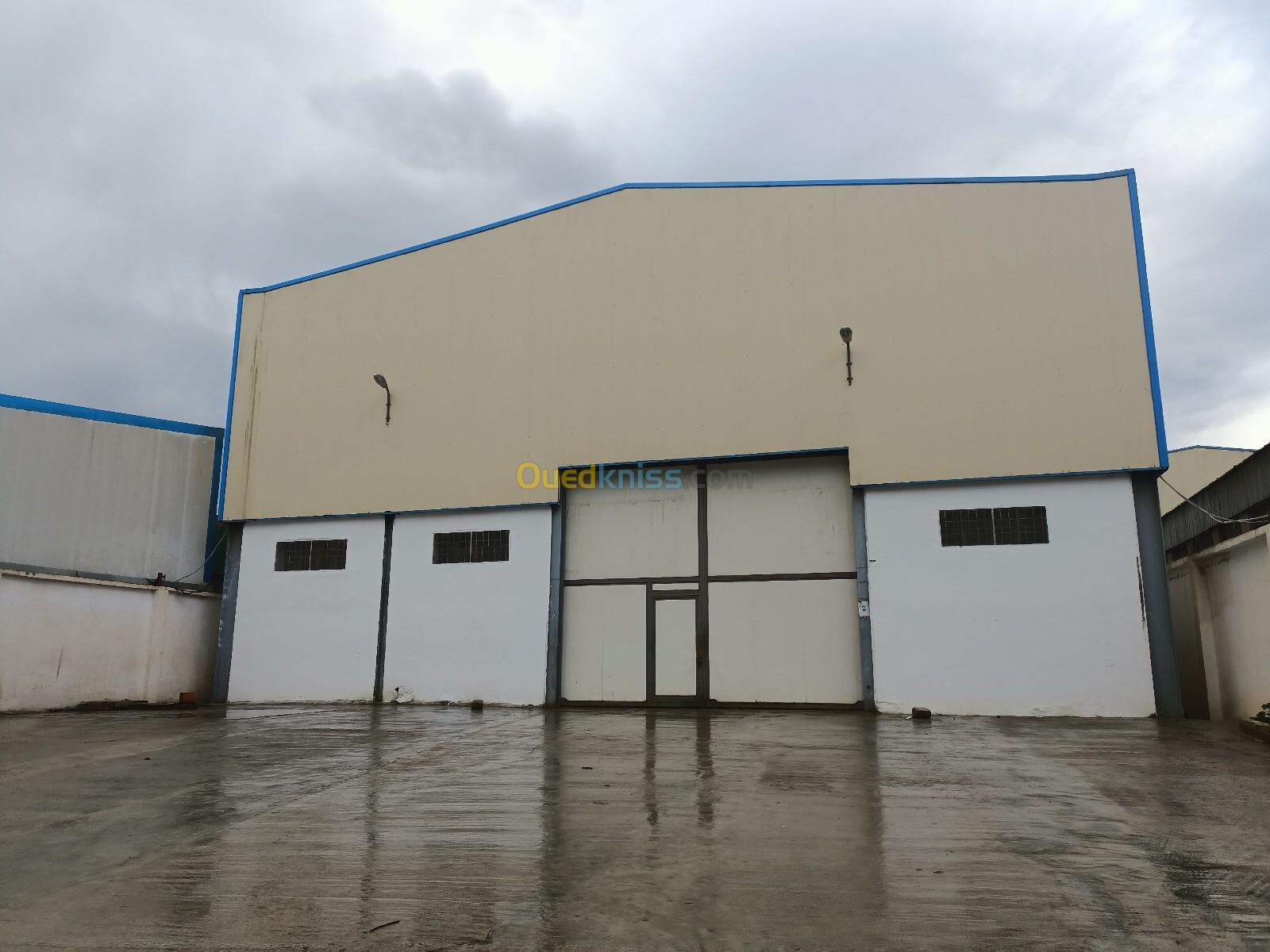 Location Hangar Alger Sidi moussa