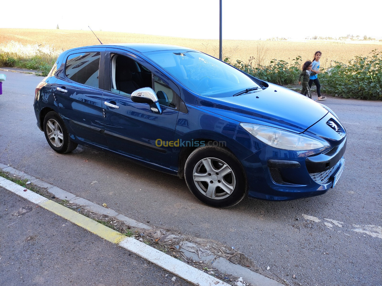 Peugeot 308 2008 