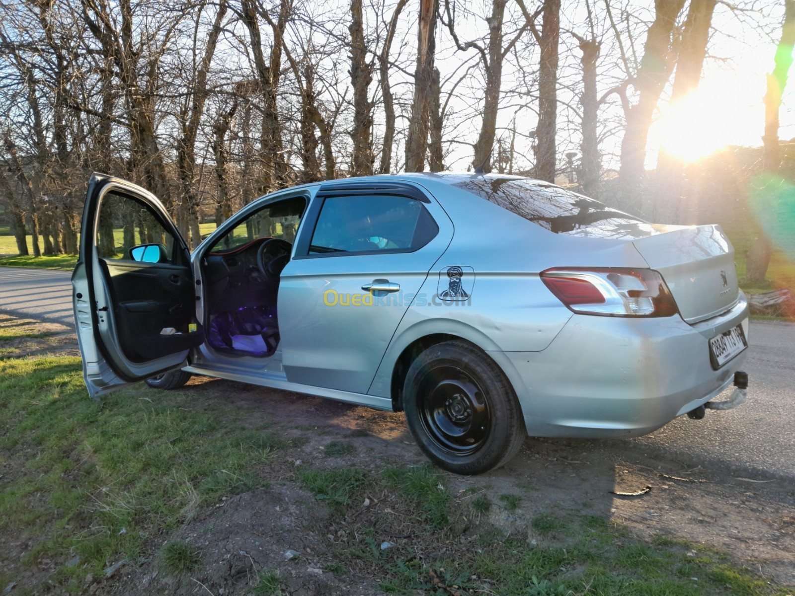 Peugeot 301 2013 301