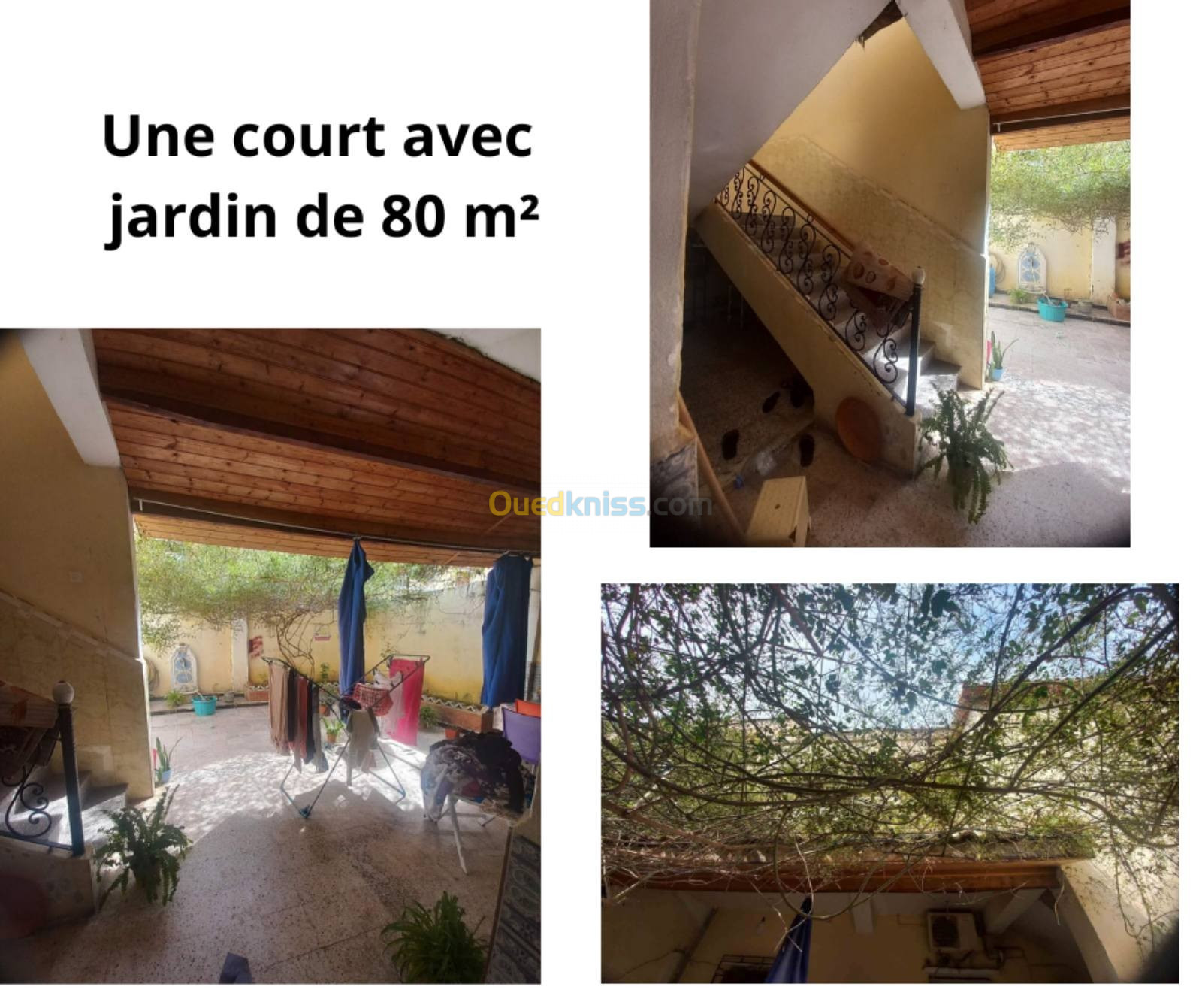 Vente Villa Tipaza Sidi rached