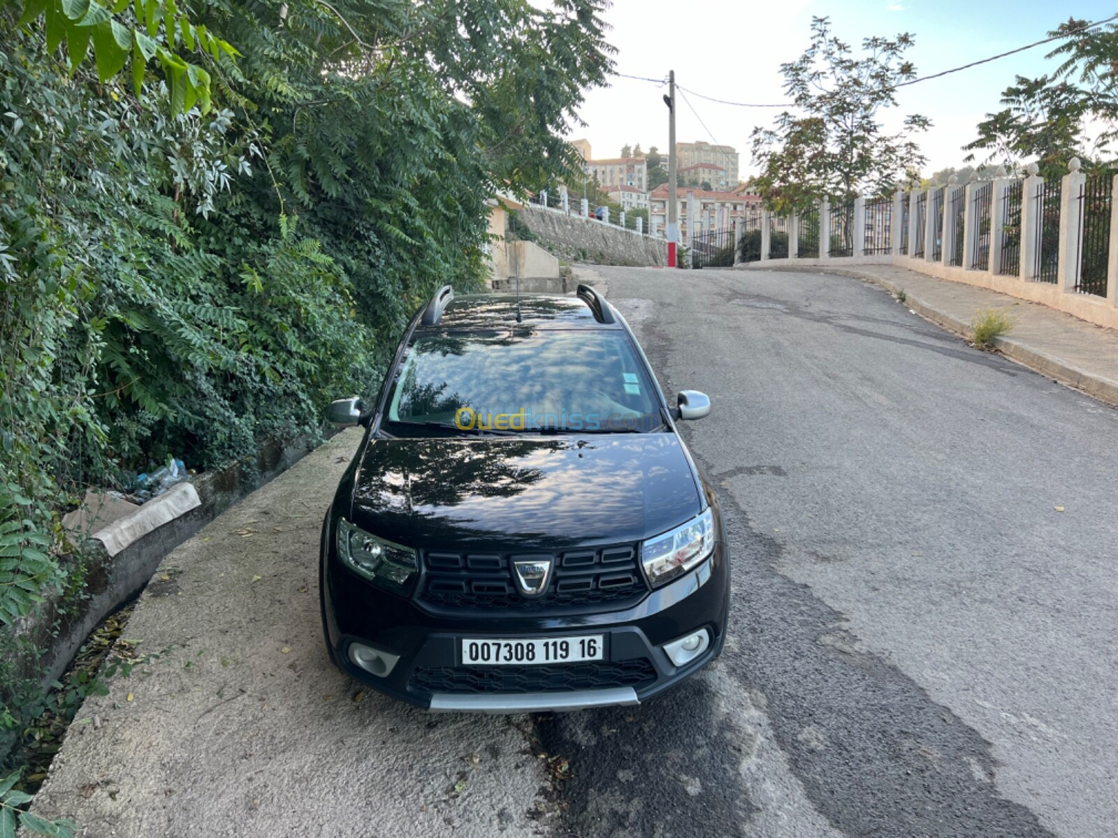 Dacia Stepway gold 2019 Stepway gold