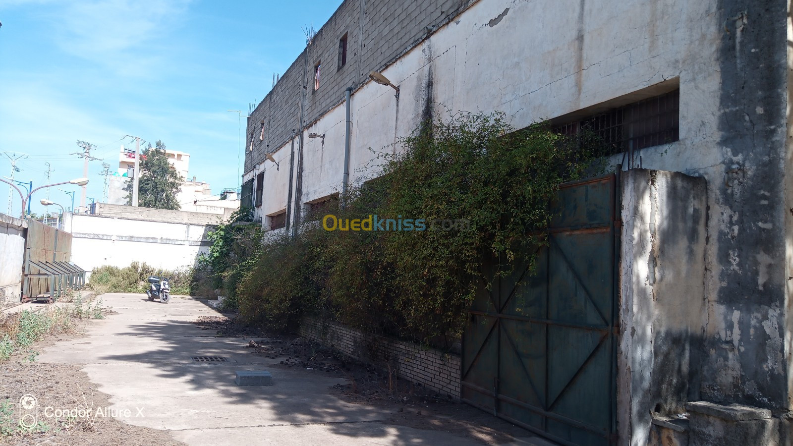 Location Hangar Boumerdès Tidjelabine