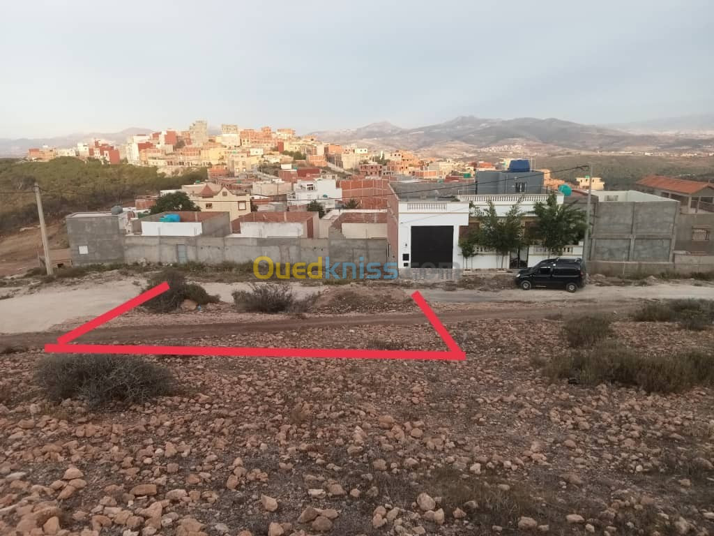 Vente Terrain Tlemcen Marsa ben mhidi