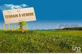 Vente Terrain Constantine Didouche mourad