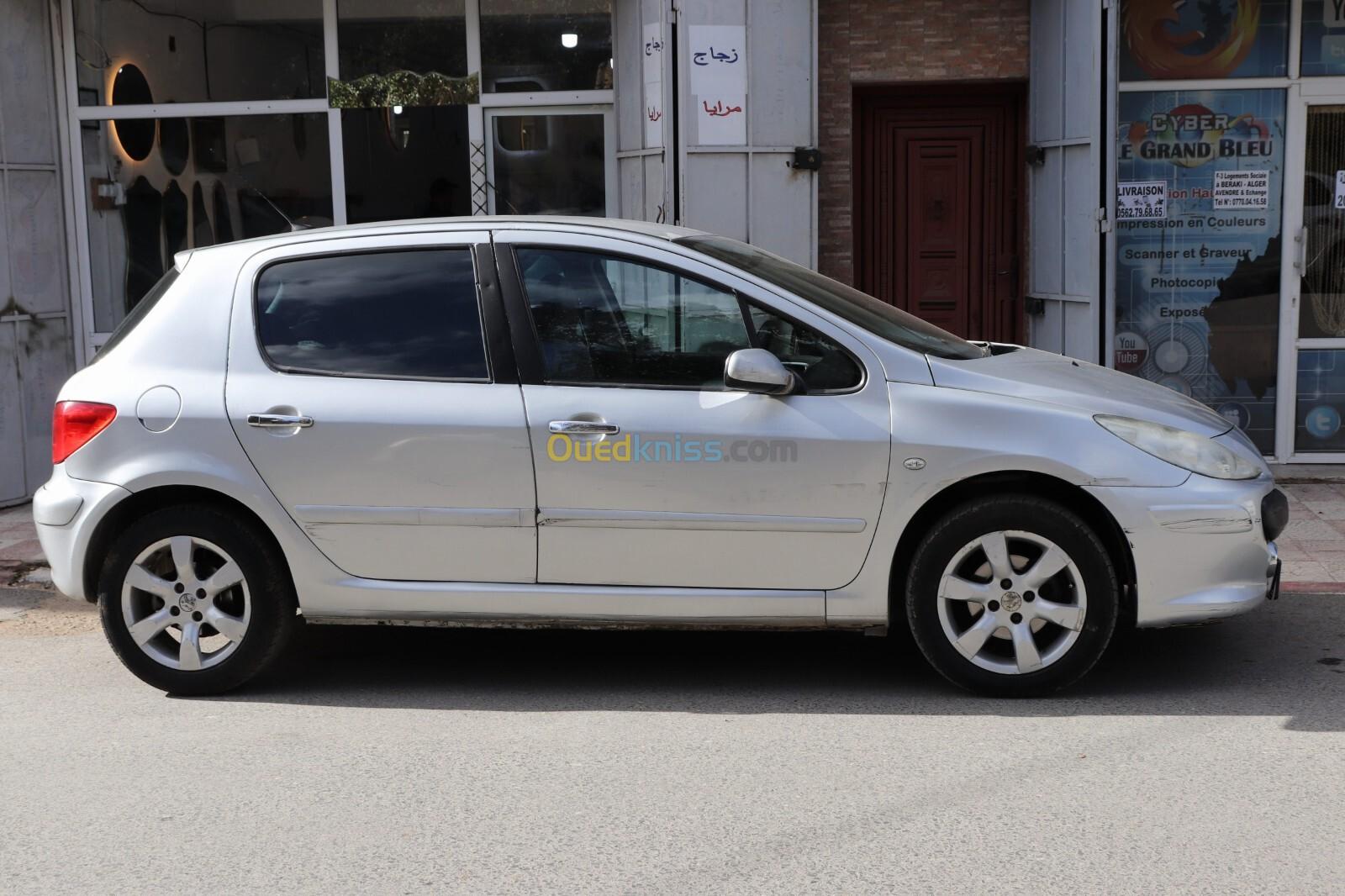 Peugeot 307 2006 307