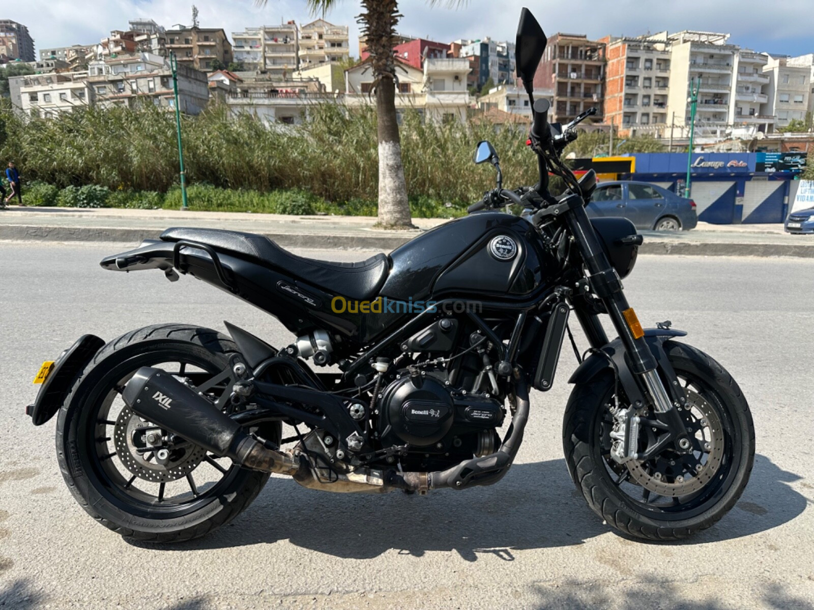 Leoncino Benelli 2020