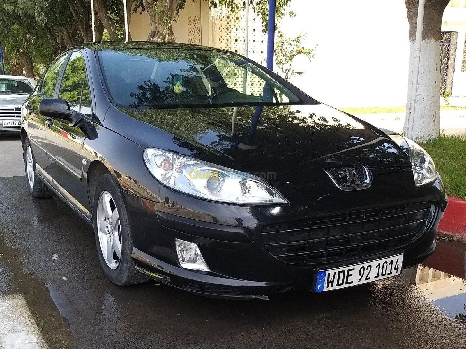 Peugeot 407 2008 