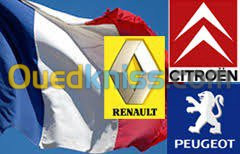 Scaner renault Peugeot Citroën