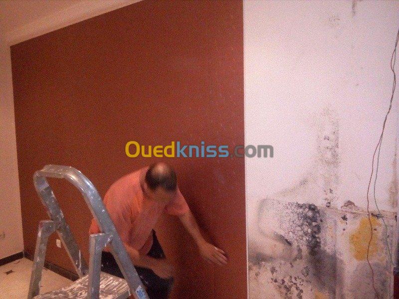 faux plafond et Mur ( PVC )