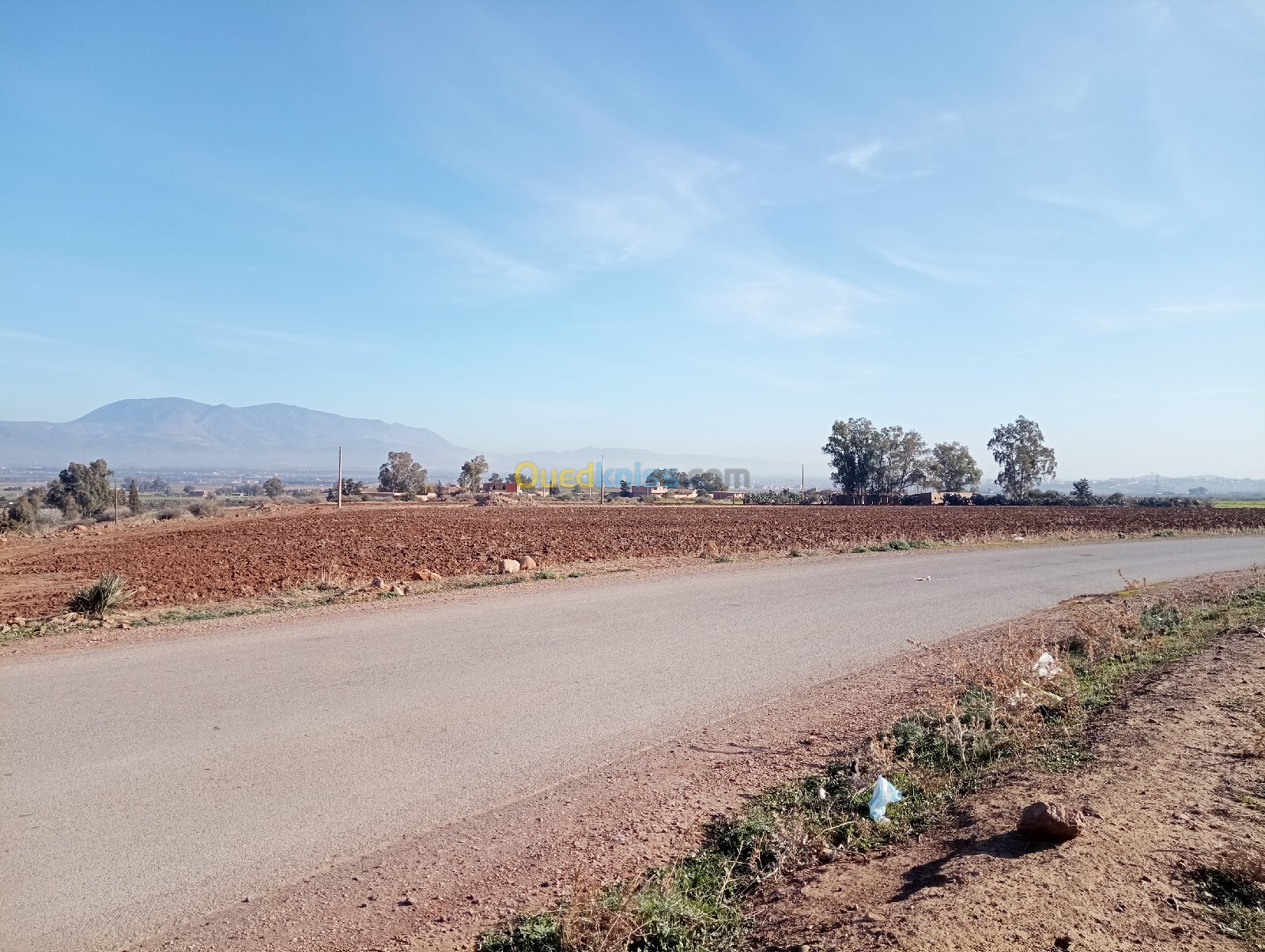 Vente Terrain Agricole Aïn Defla Djelida