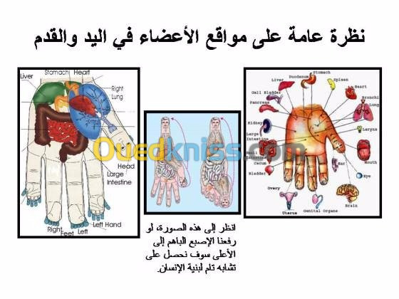 الطب التكميلي الصيني