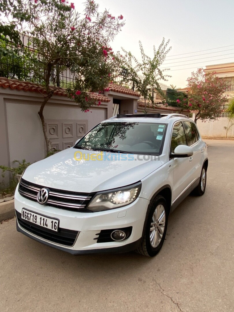 Volkswagen Tiguan 2014 Cup