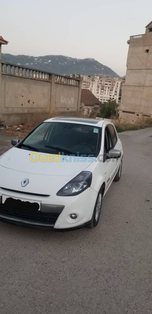 Renault Clio 3 2012 Night and Day