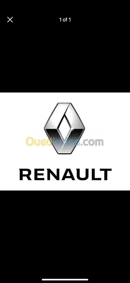 Pièces Renault