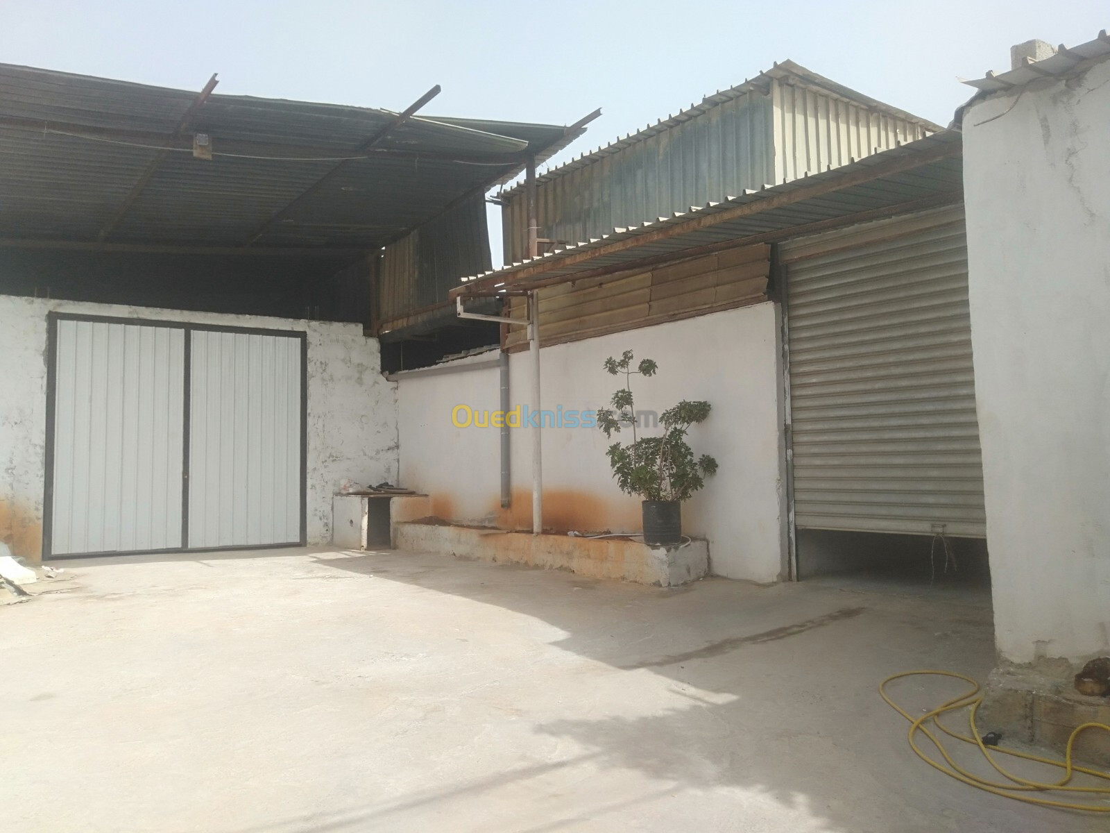 Location Hangar Alger Mahelma