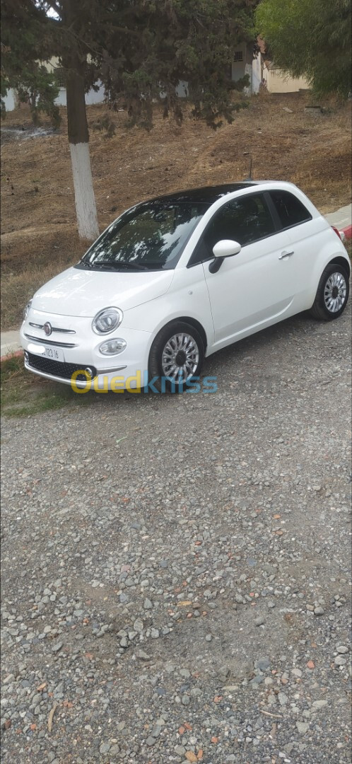 Fiat 500 2023 CLUP italy