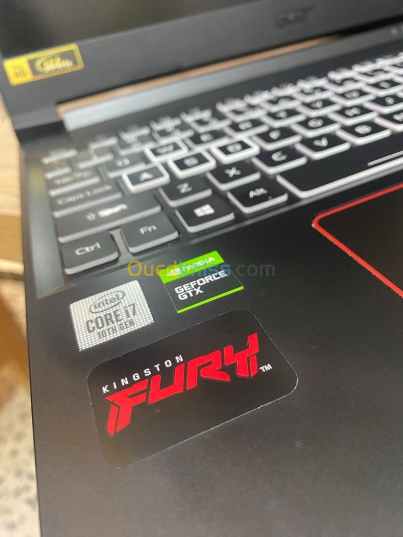 Acer Nitro 5