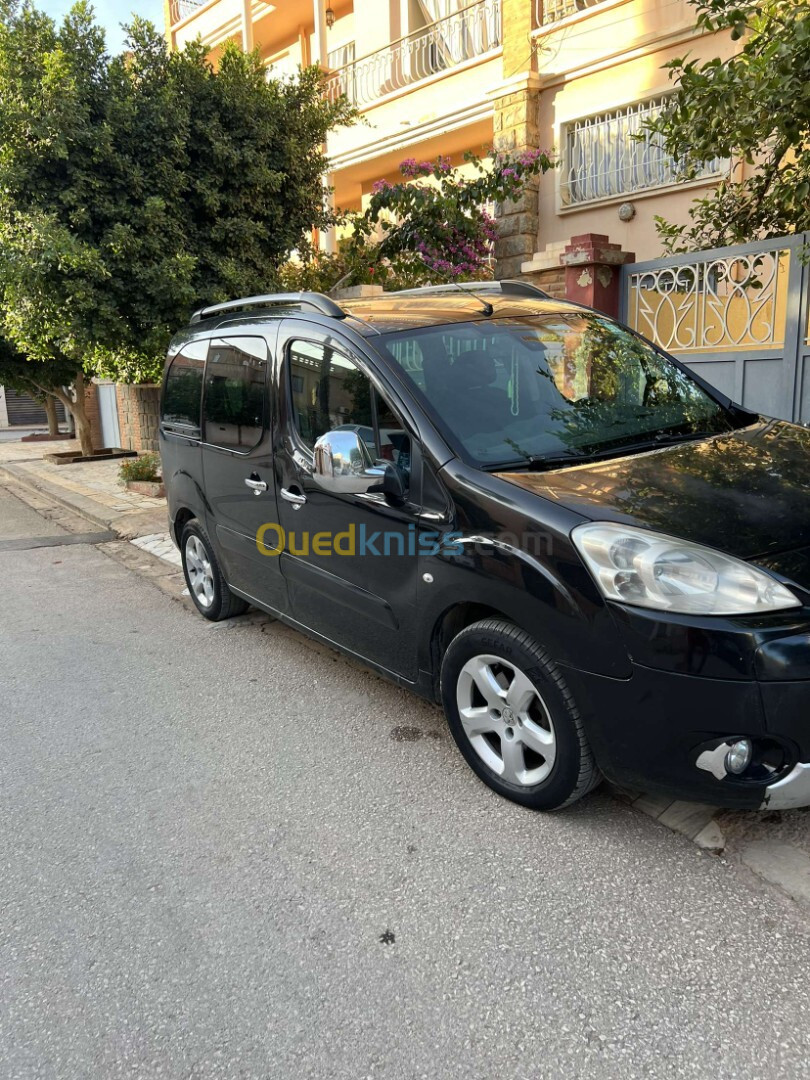 Peugeot Partner 2009 Tepee