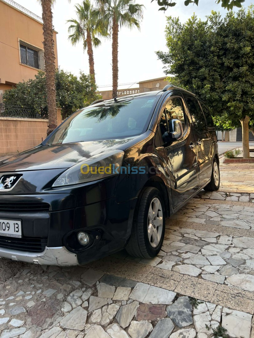 Peugeot Partner 2009 Tepee