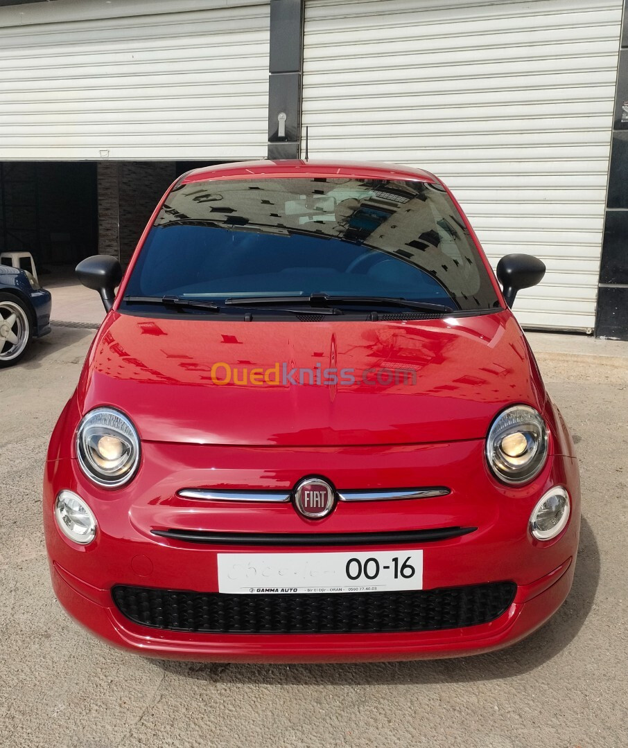 Fiat 500 2024 