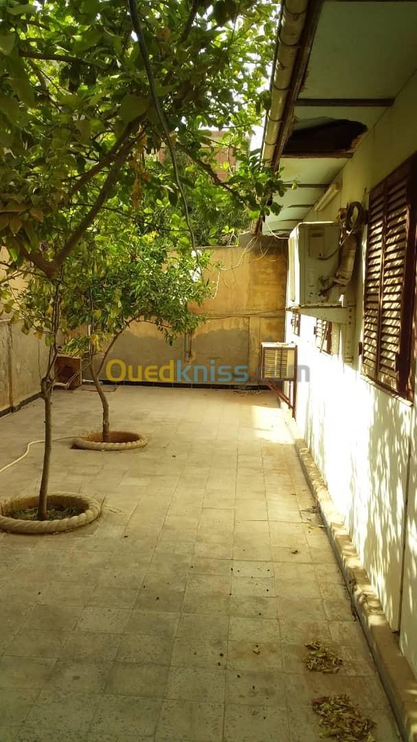 Vente Appartement F4 Chlef Chettia