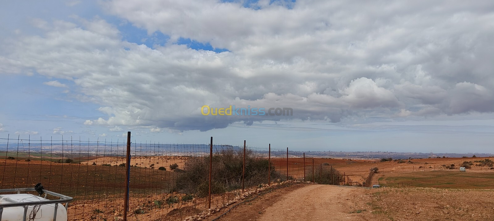 Vente Terrain Agricole Oran El braya