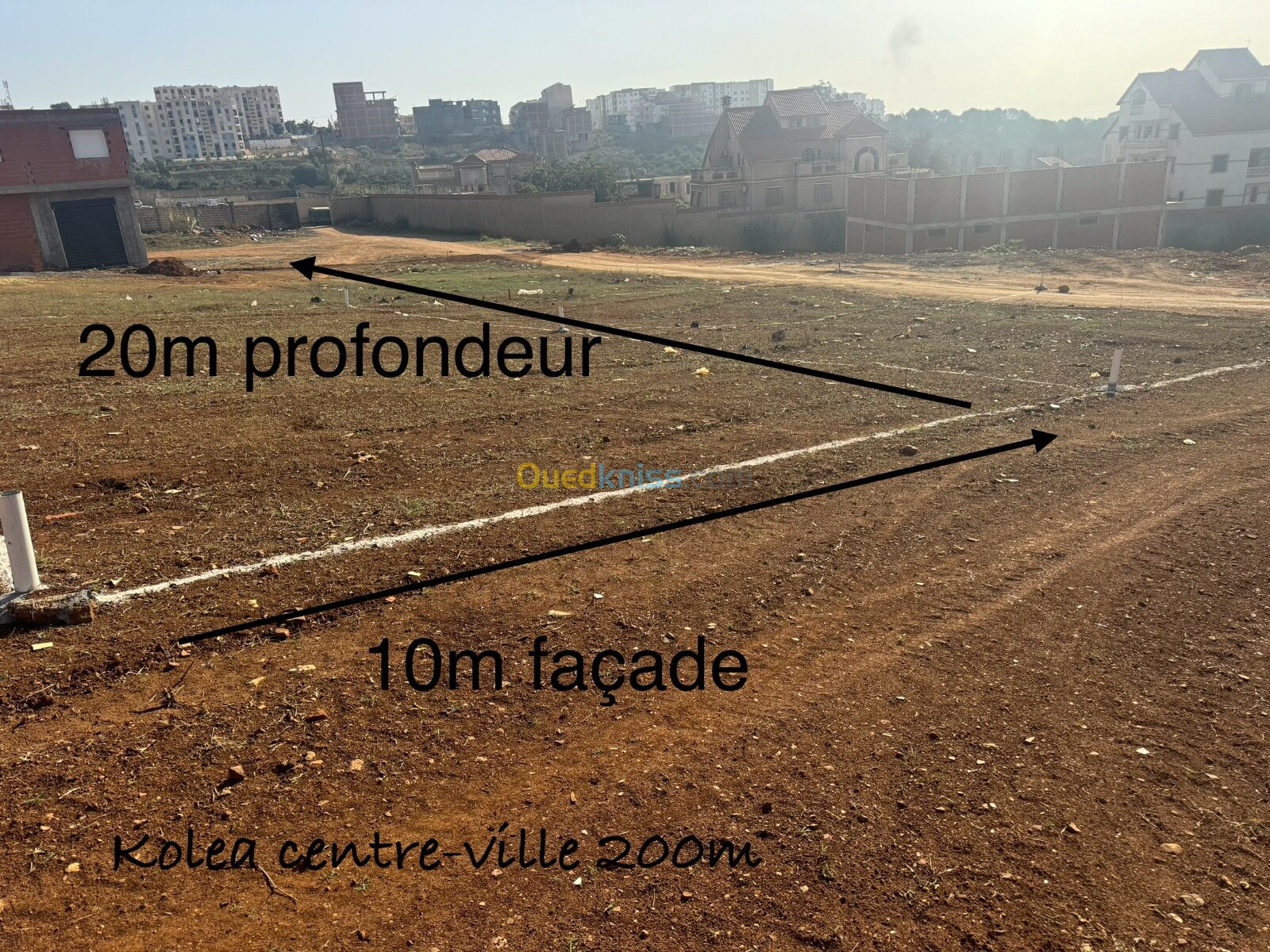 Vente Terrain Tipaza Kolea