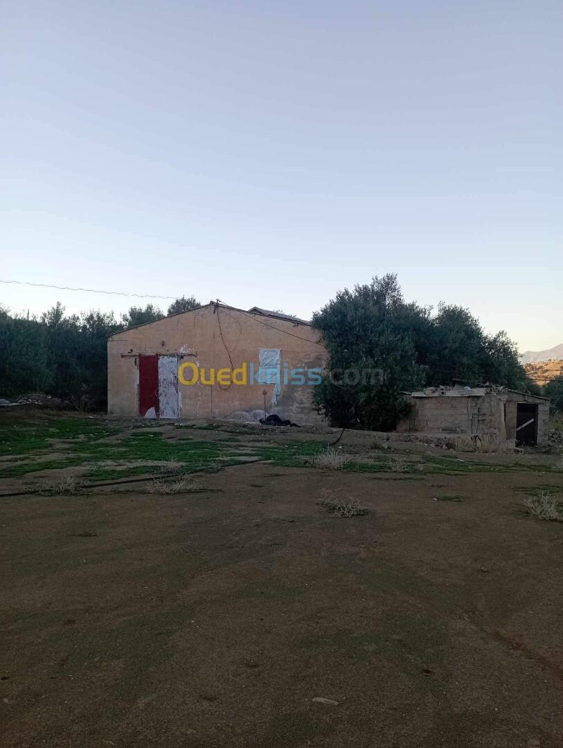 Location bien immobilier Bouira Ahl el ksar