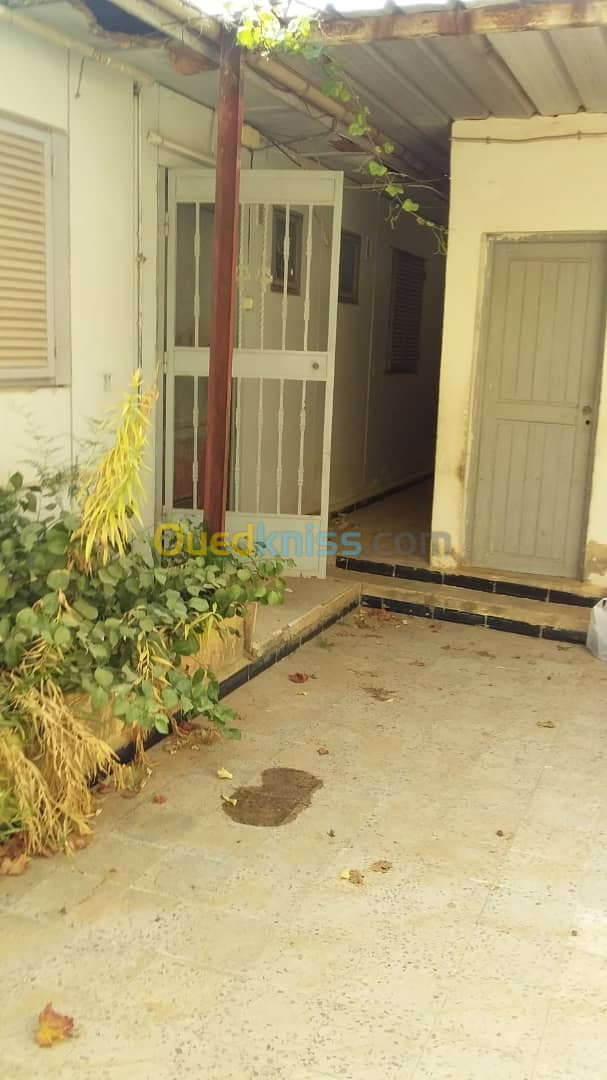 Vente Appartement F4 Chlef Chettia