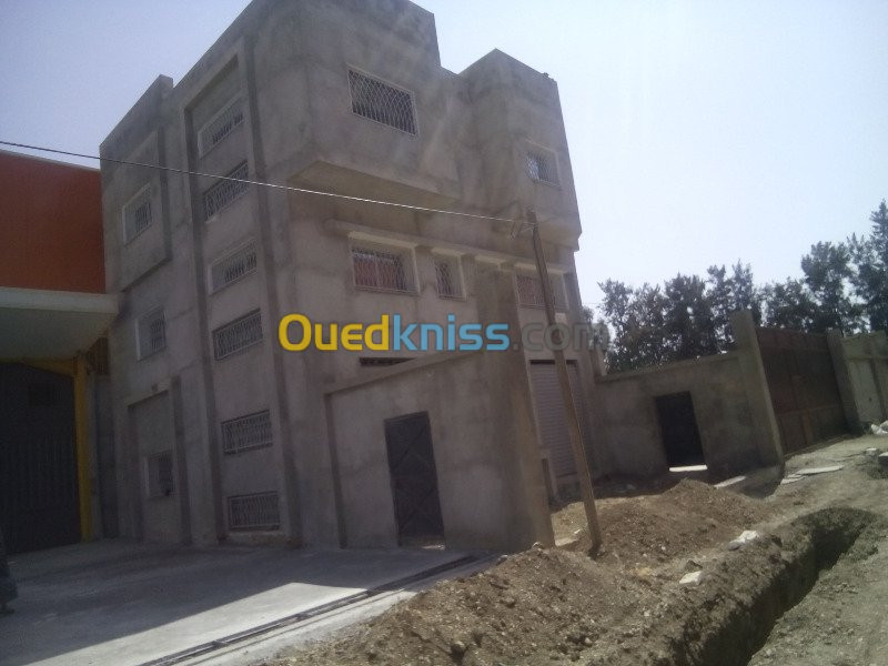 Location Hangar Blida Ouled el alleug