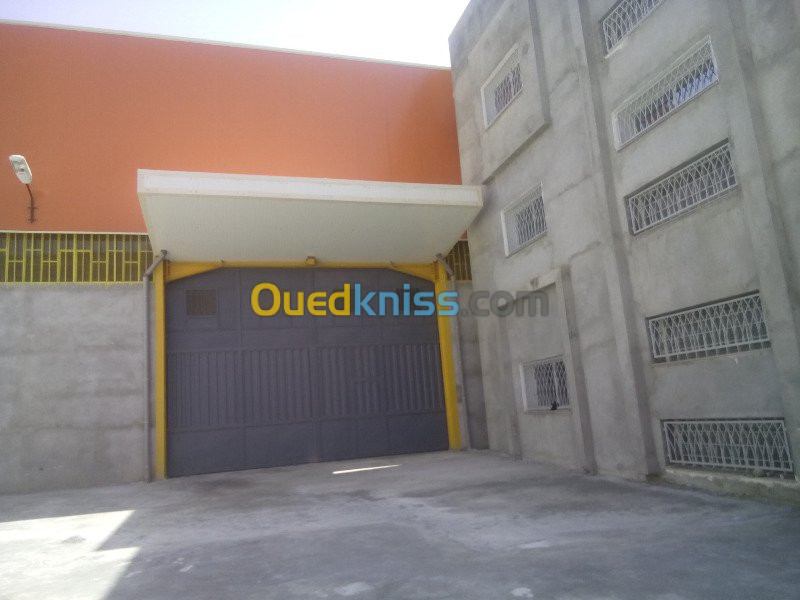 Location Hangar Blida Ouled el alleug