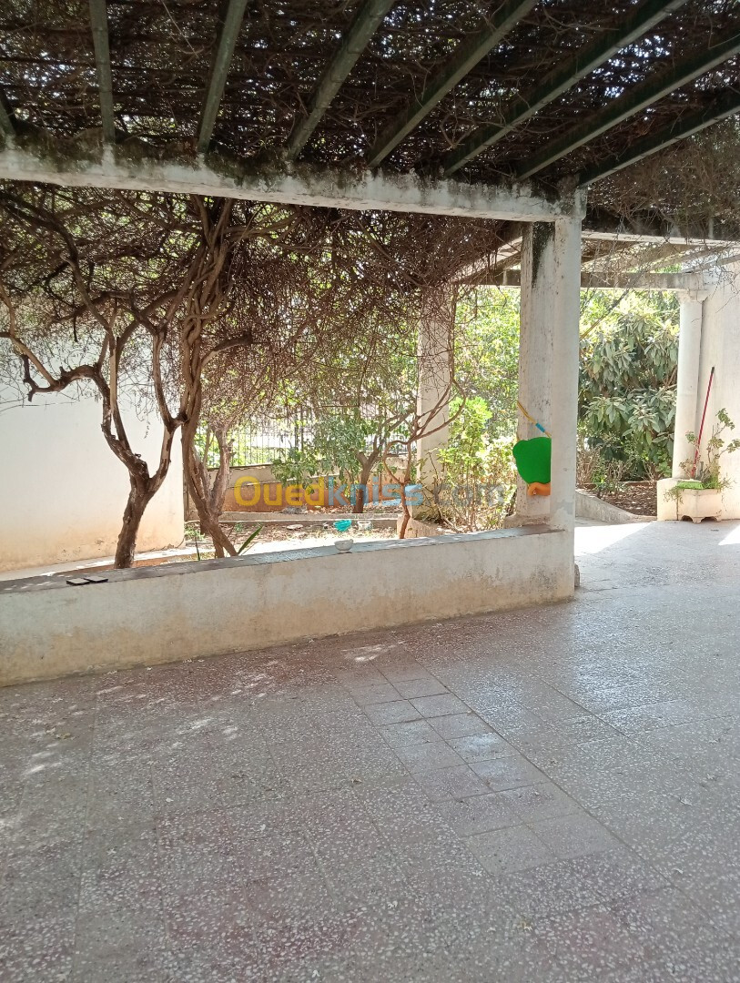 Vente Villa Alger El biar