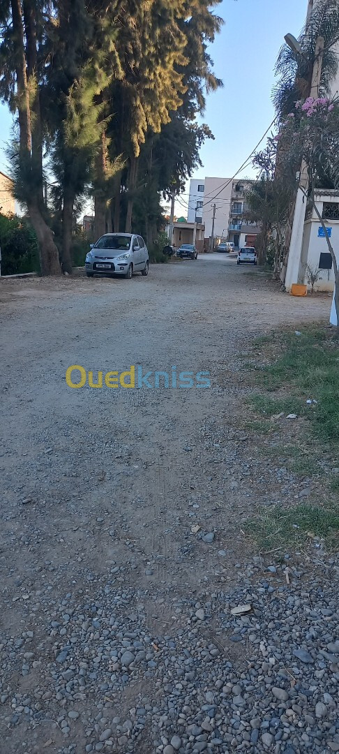 Location Duplex F5 Alger Birkhadem