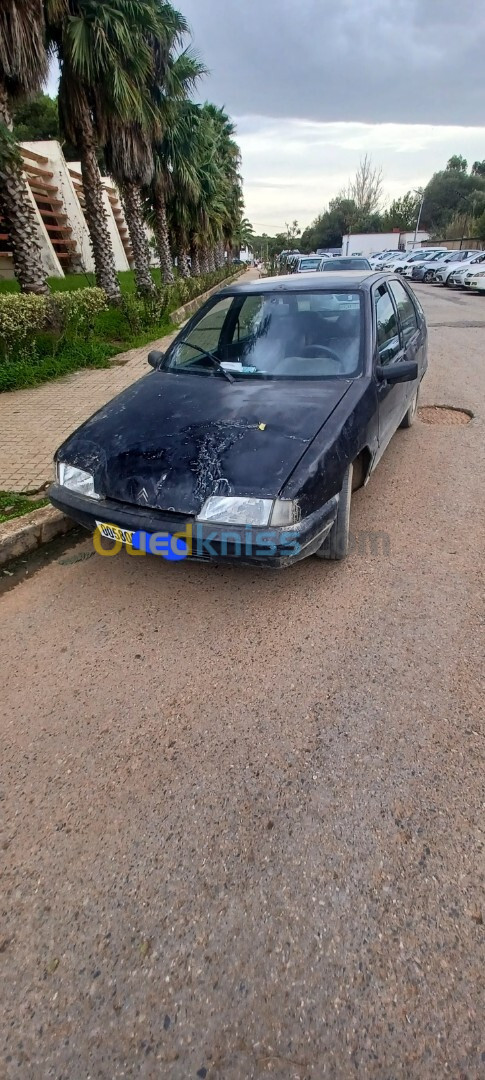 Citroen ZX 1991 Bx